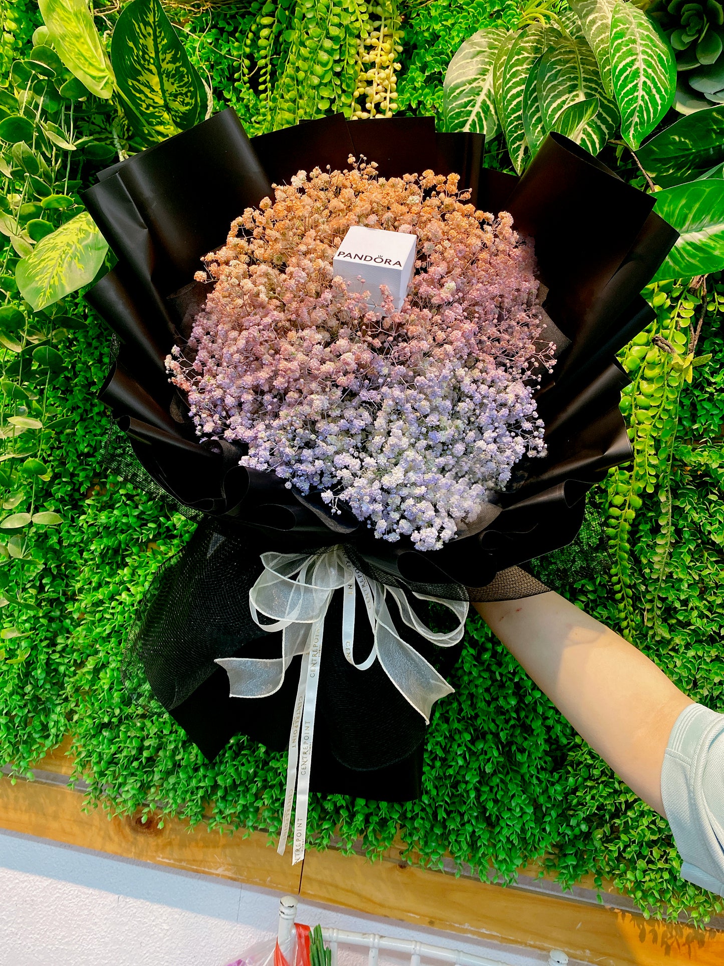 Wrenley (RM 170.00)