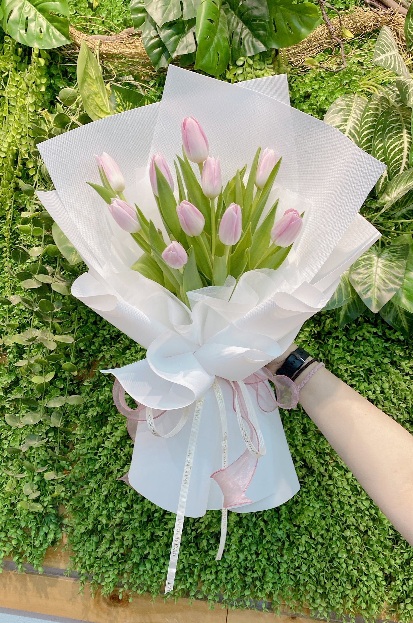 Vincy Tulips (RM 250.00)