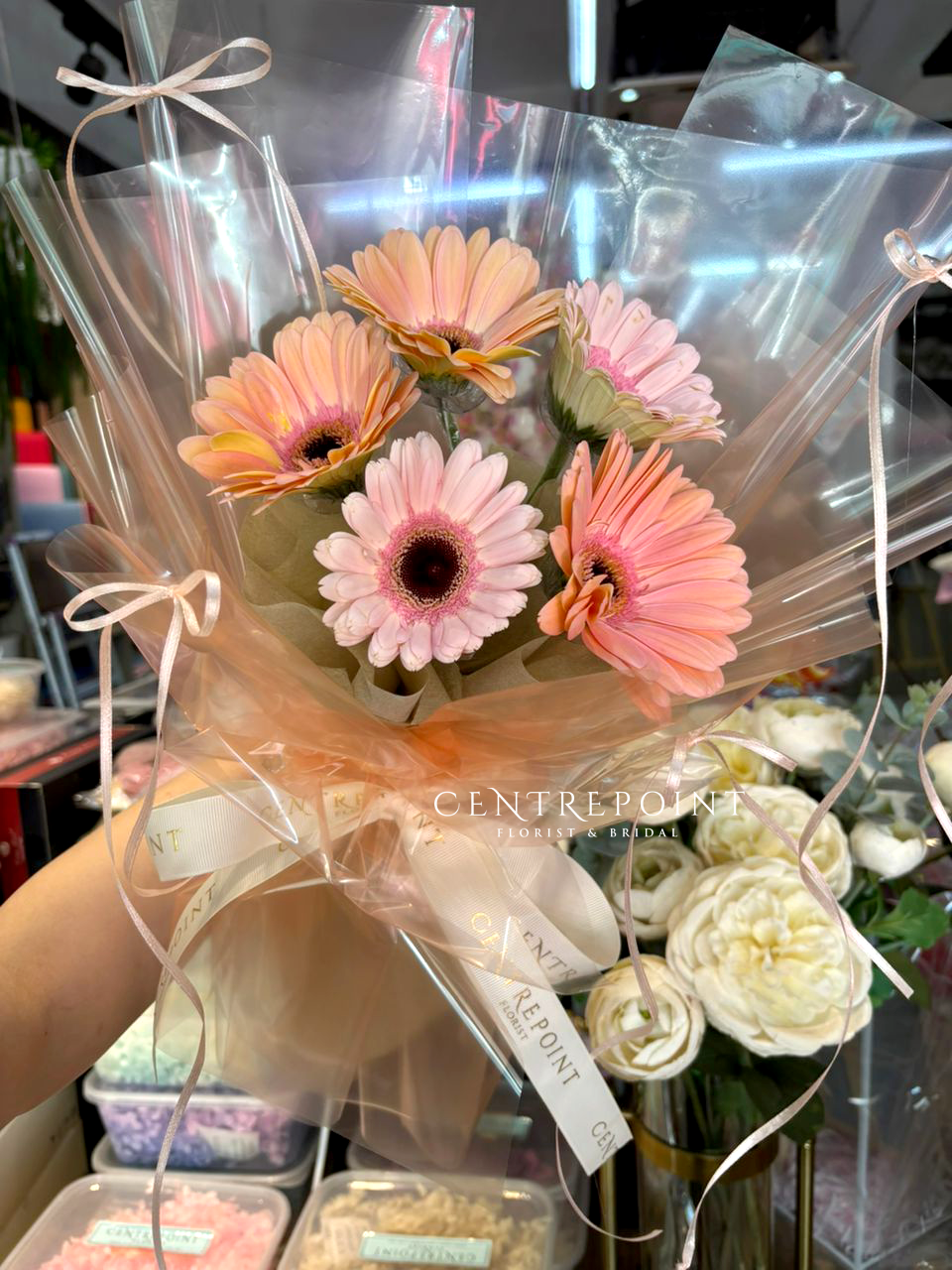Eudora (RM 55.00)