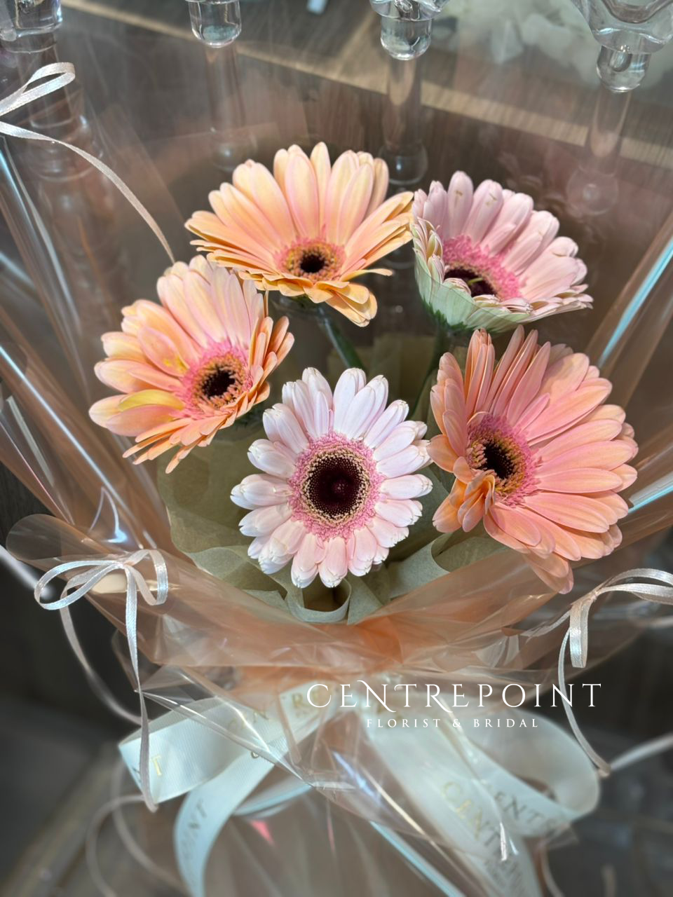 Eudora (RM 55.00)