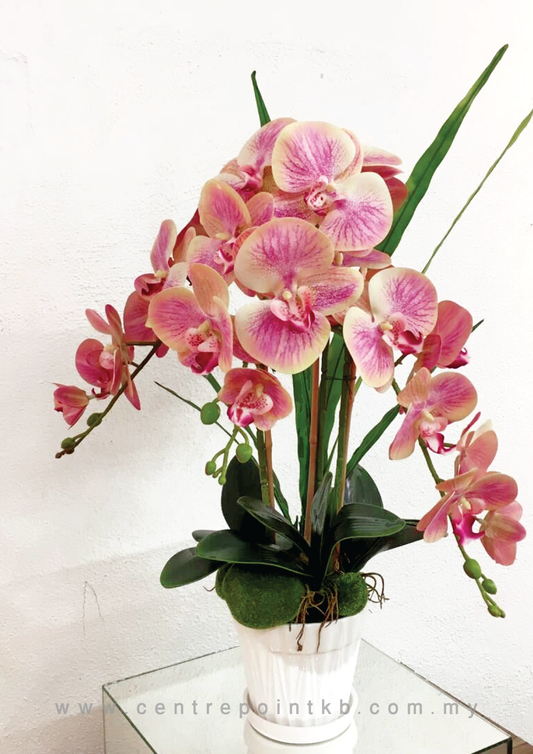 Package Mail Orchid Arrangement DIY 04