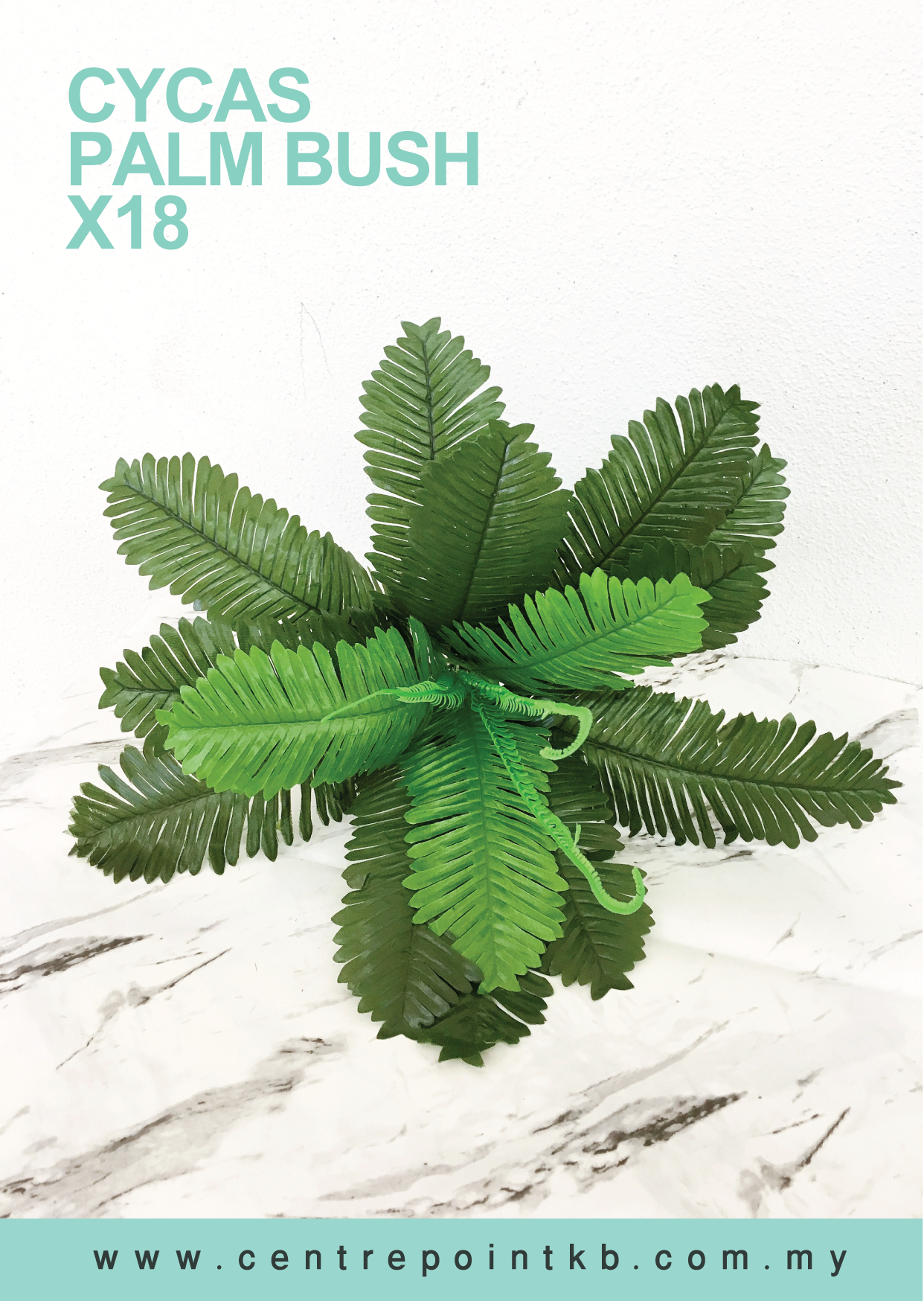 Cycas Palm Bush x18 (Pieces/Dozen)