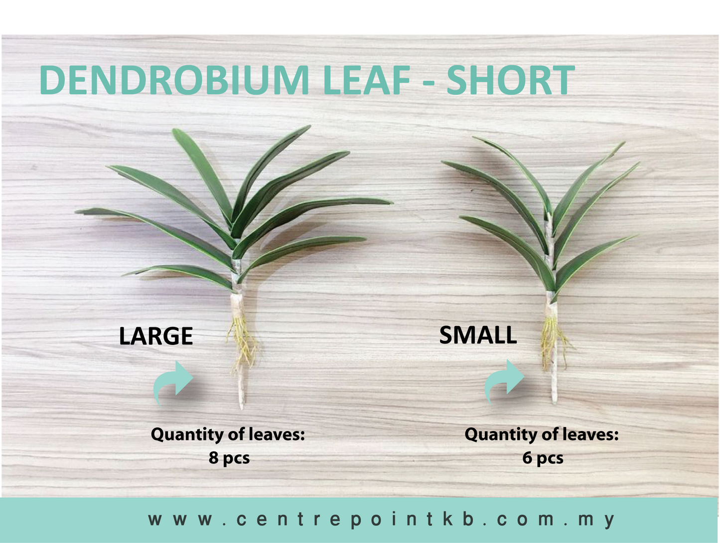 Dendrobium Leaf - Short (Pieces)