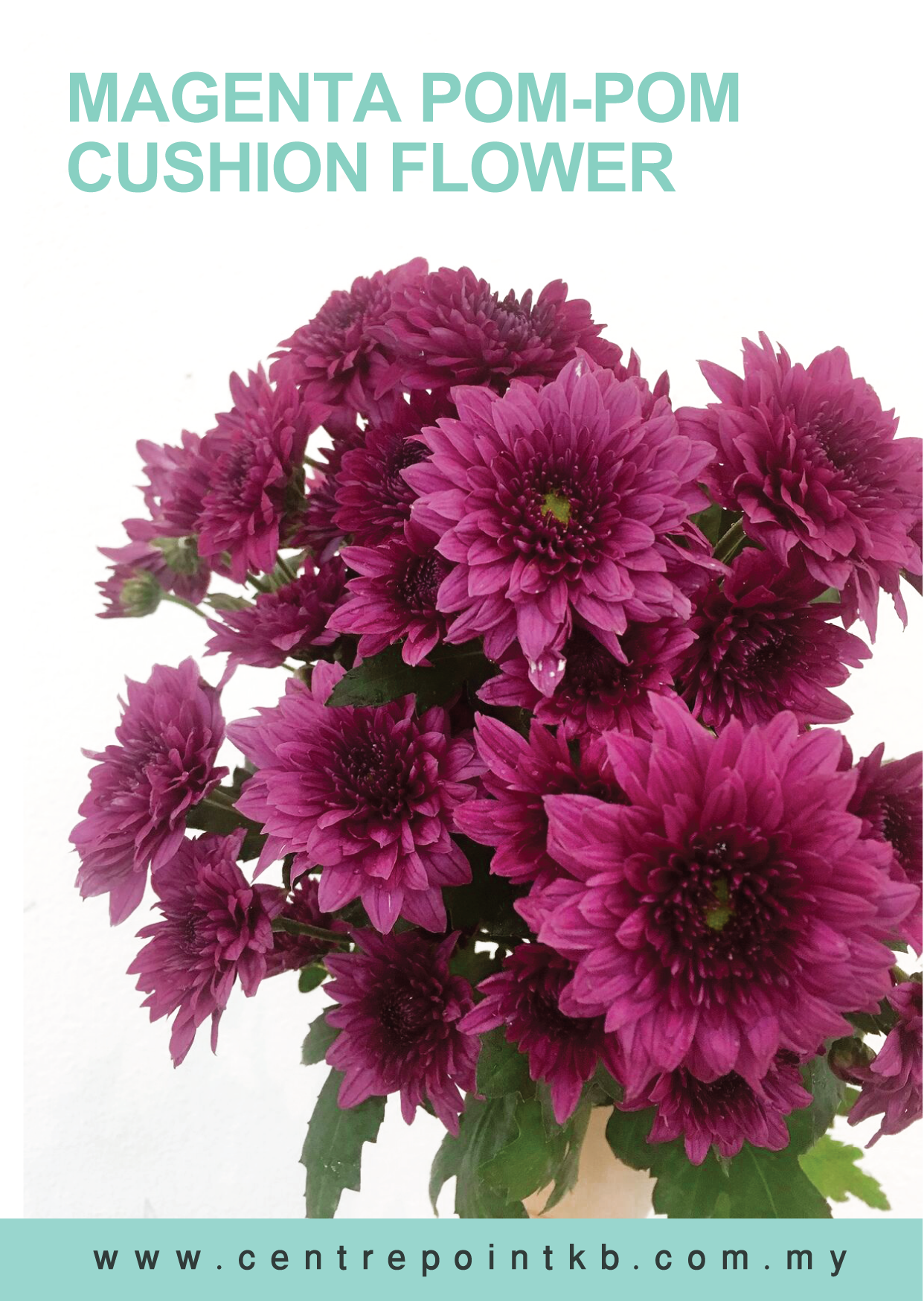 Magenta Pom-Pom Cushion Flower