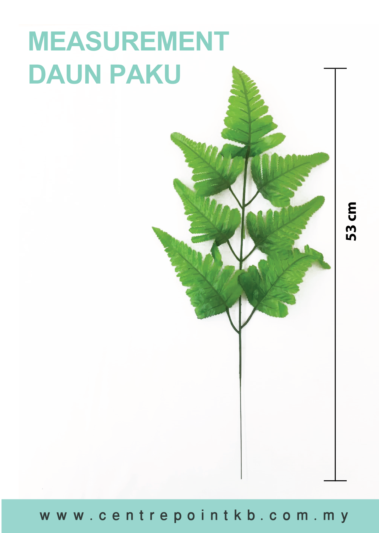 Daun Paku (12pcs/Dozen)