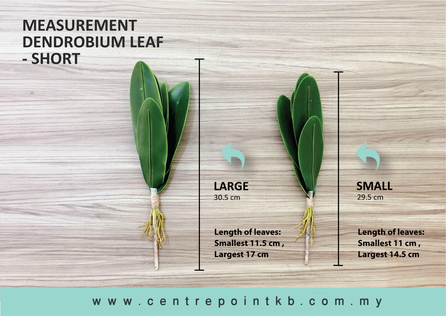 Dendrobium Leaf - Short (Pieces)