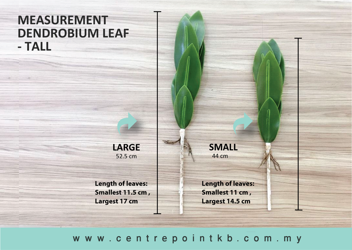 Dendrobium Leaf - Tall (Pieces/Dozen)