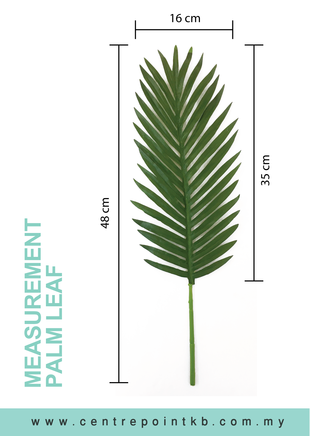 Palm Leaf (Pieces/Dozen)