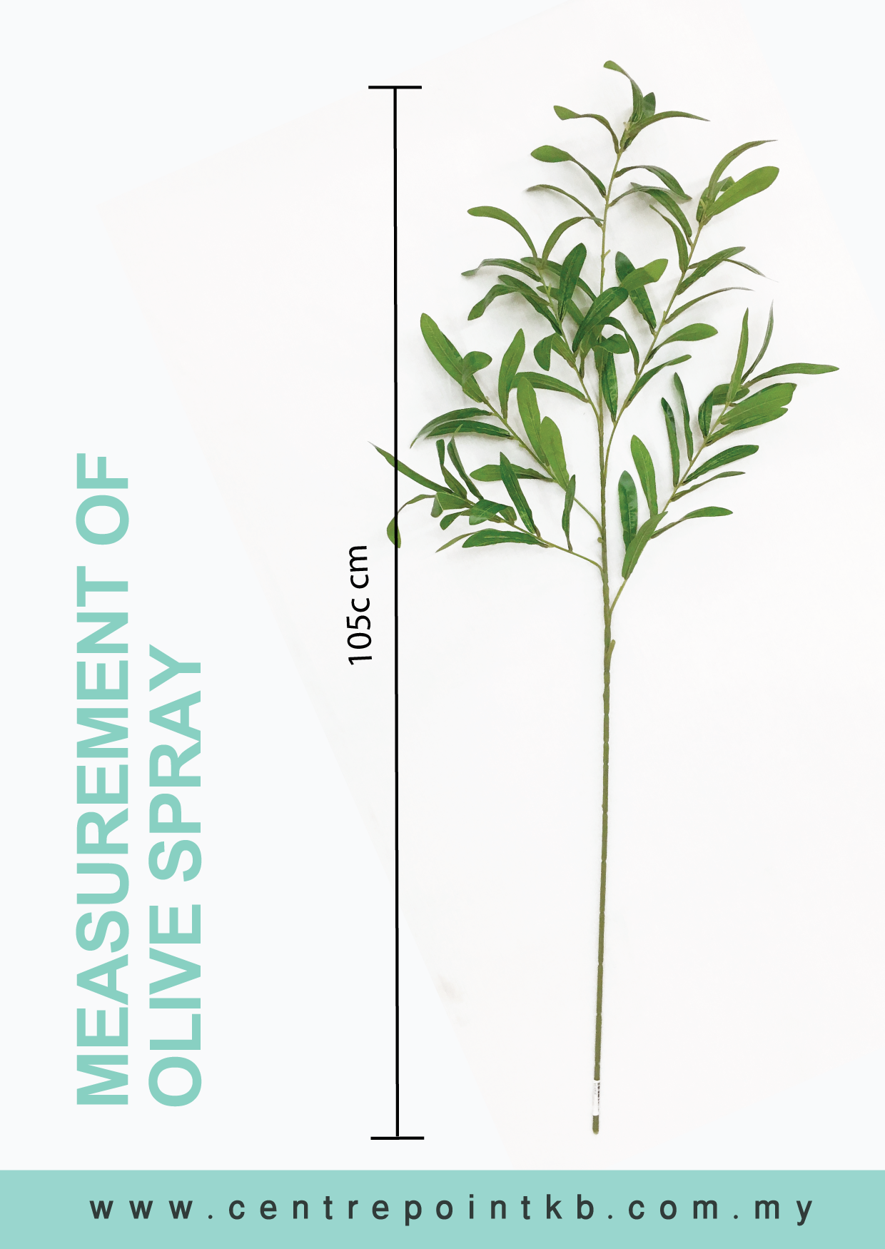 Olive Spray (Pieces/Dozen)