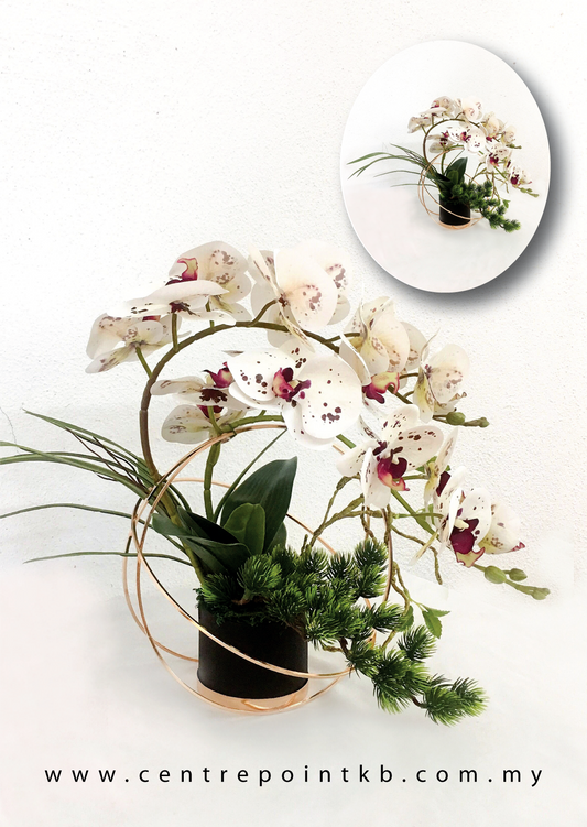Modern Orchid Arrangement 04 (RM 135.00)