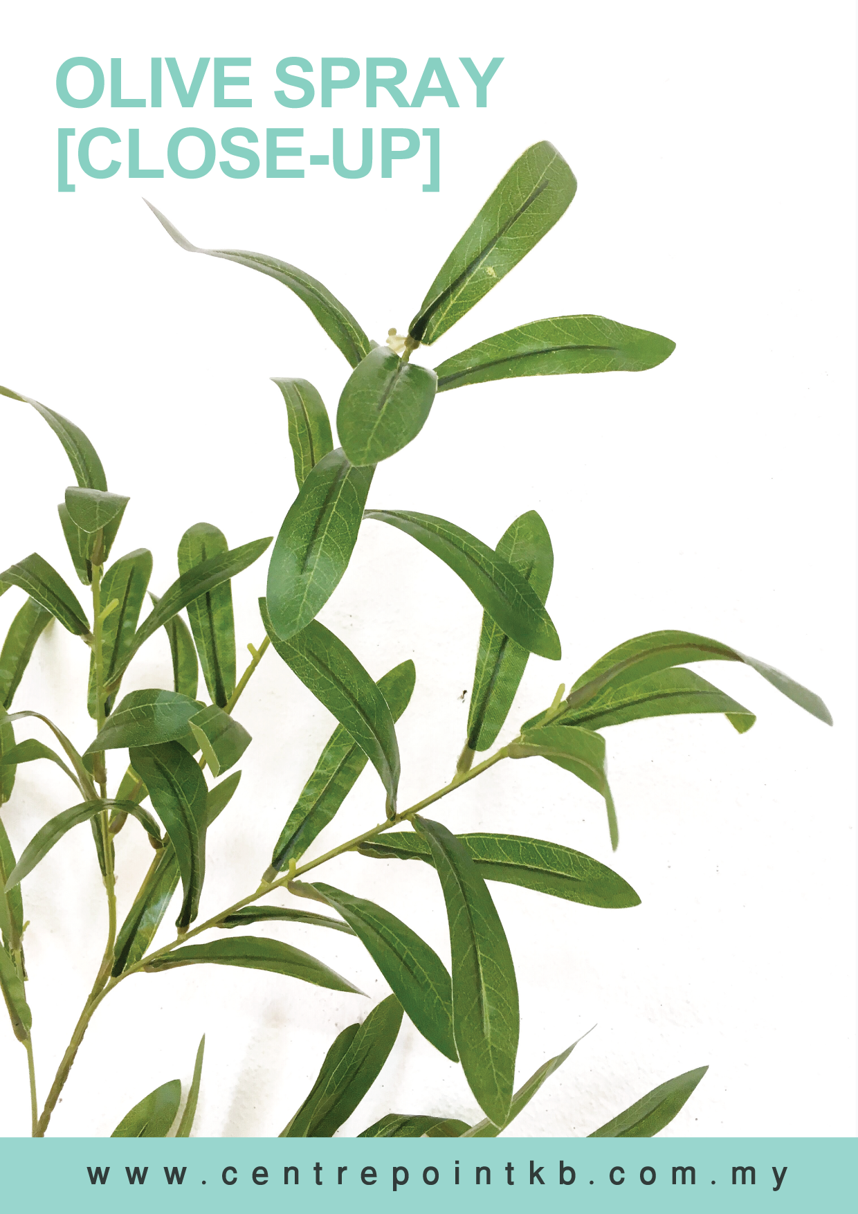 Olive Spray (Pieces/Dozen)