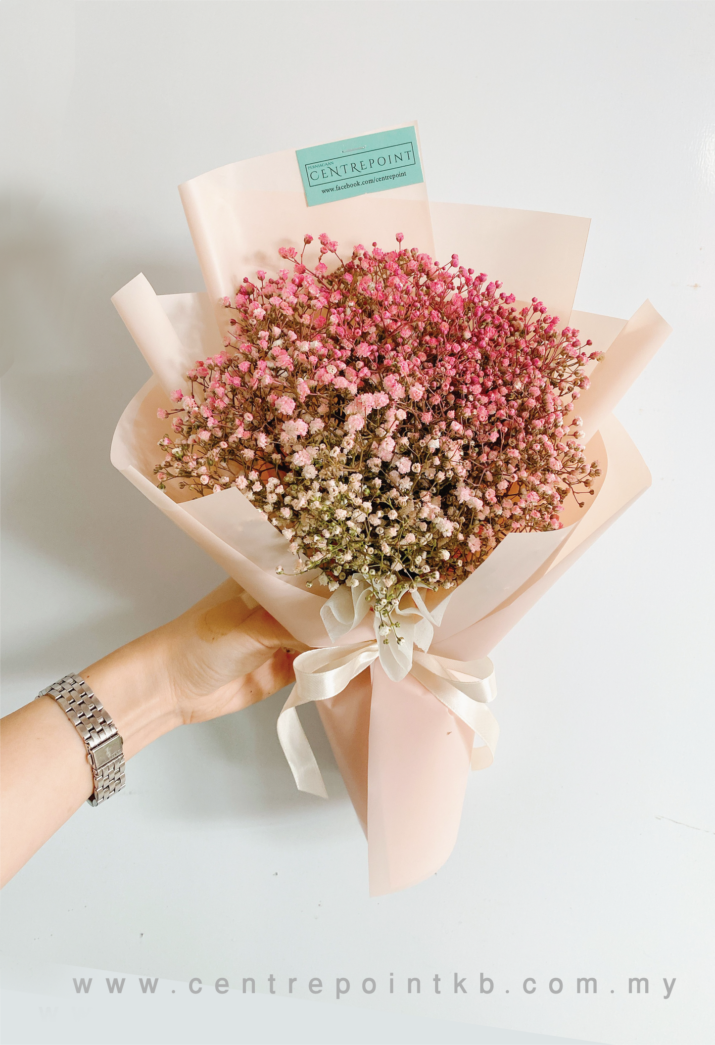 Petite Pinky Baby Breath (RM 70.00)