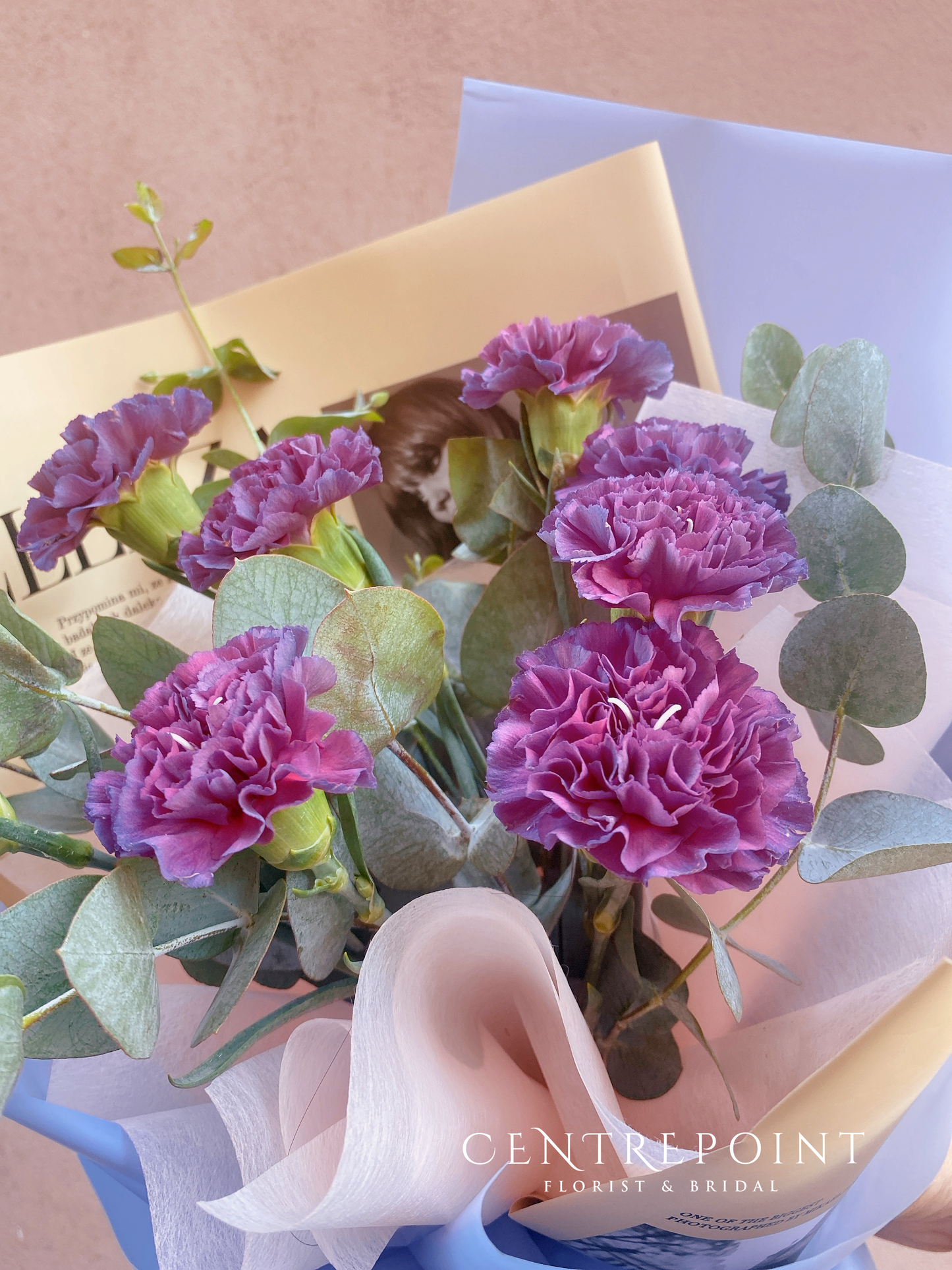 Vintage Carnations (RM 100.00)