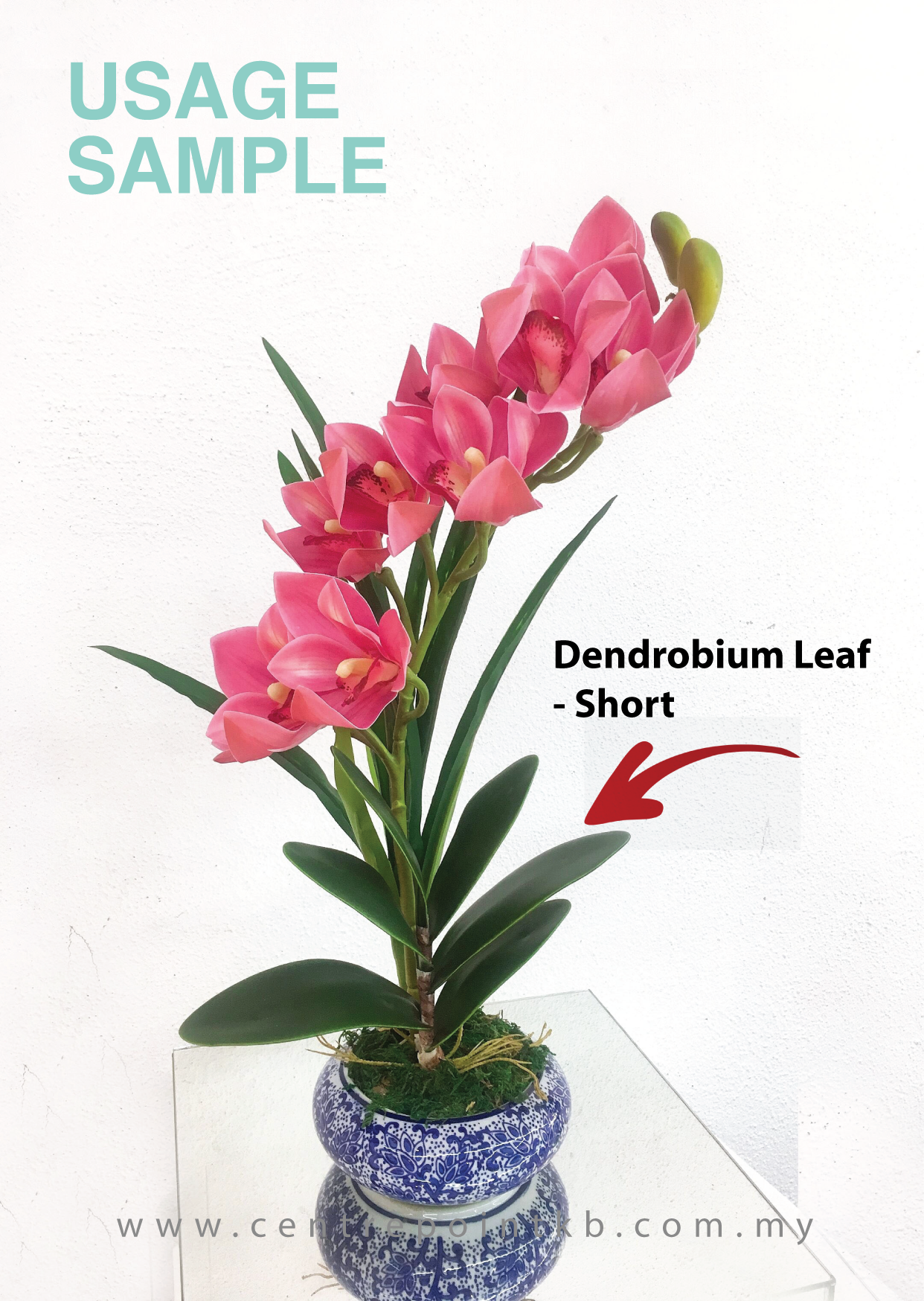 Dendrobium Leaf - Short (Pieces)