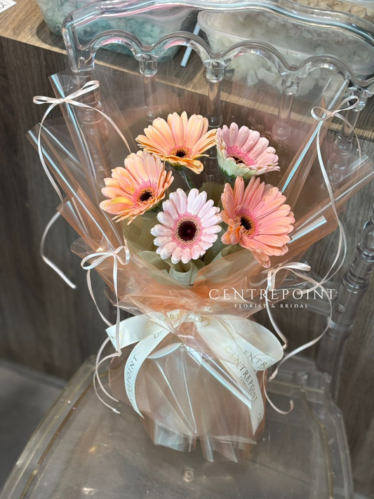 Eudora (RM 55.00)