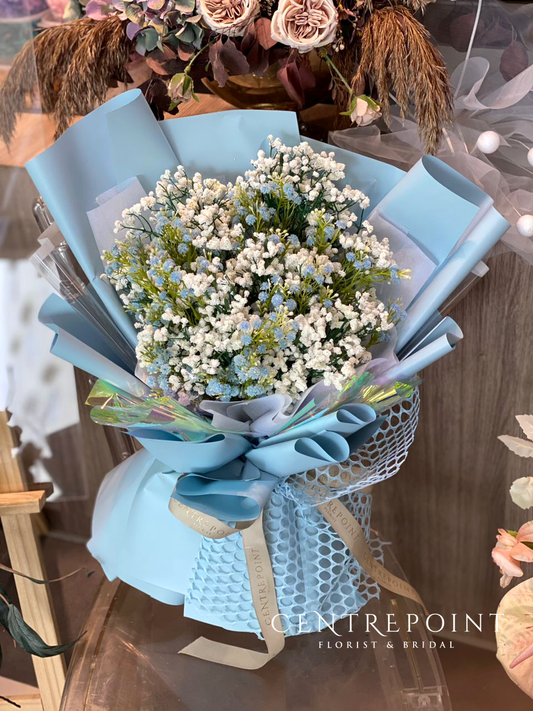 AF Baby Breath Blue (RM 100.00)