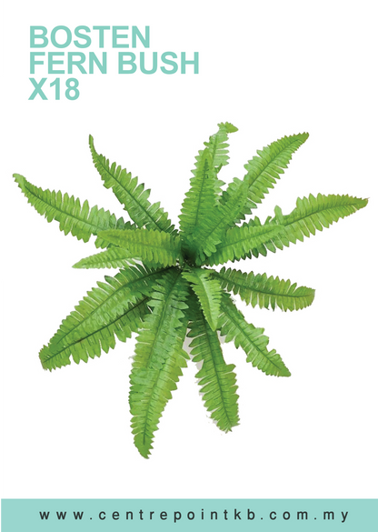 Bosten Fern Bush x18 (Pieces/Dozen)