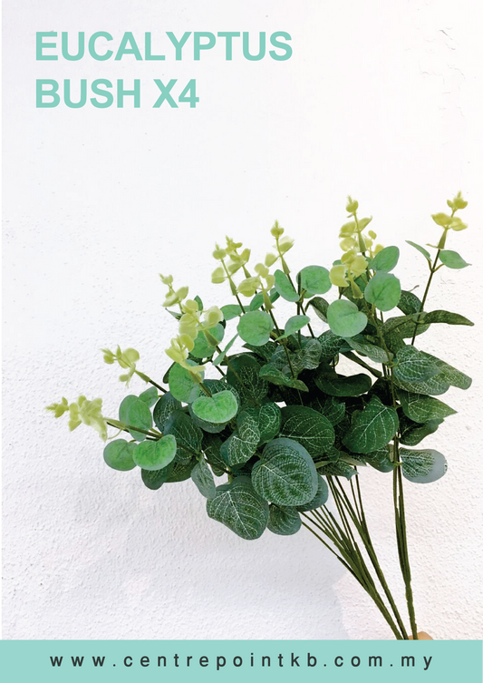 Eucalyptus Bush X4 (Pieces/Dozen)