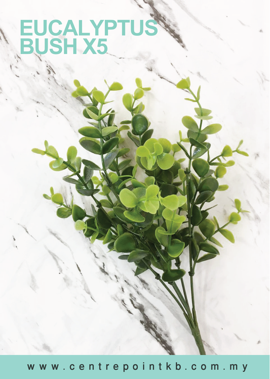 Eucalyptus Bush X5 (Pieces/Dozen)