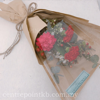 Carnation Of Care (RM 48.00)