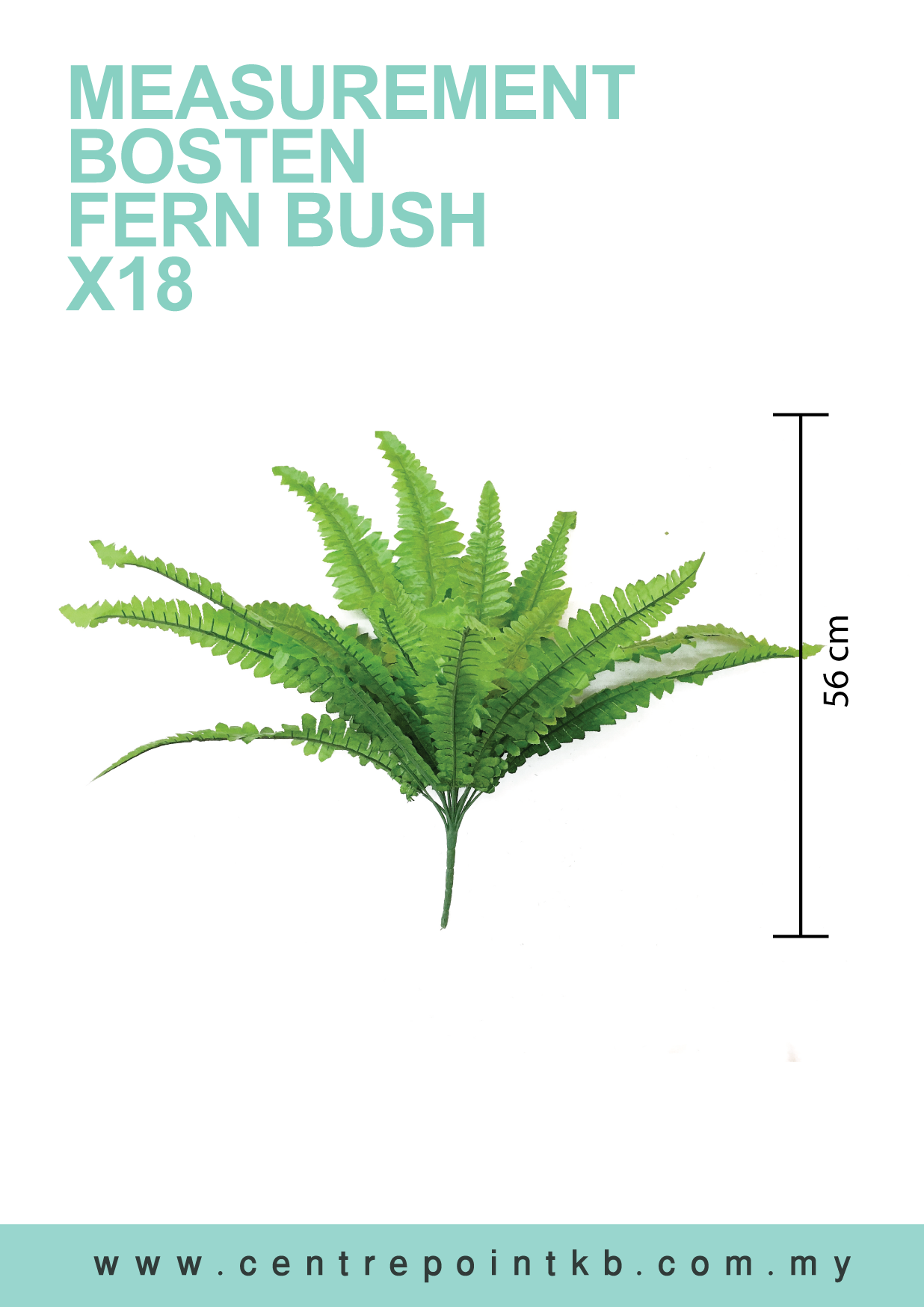 Bosten Fern Bush x18 (Pieces/Dozen)