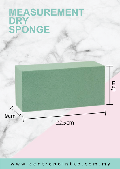 Dry Sponge (Pieces/Dozen)