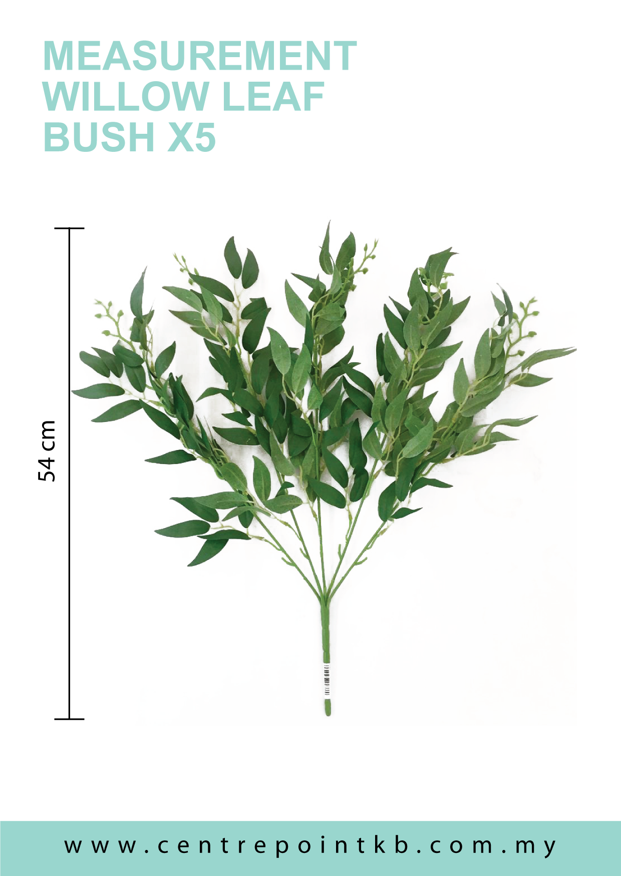 Willow Leaf Bush X5