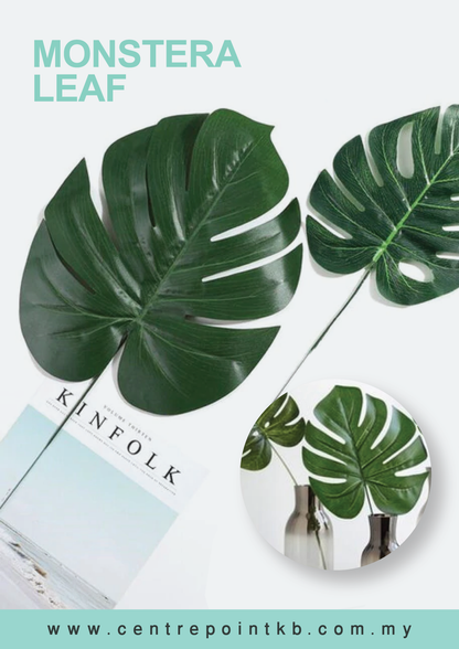 Monstera Leaf (12pcs/Dozen)