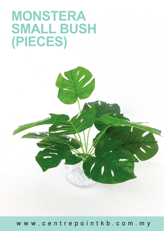 Monstera Small Bush (Pieces)