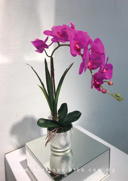 Package Mail Orchid Arrangement DIY 02