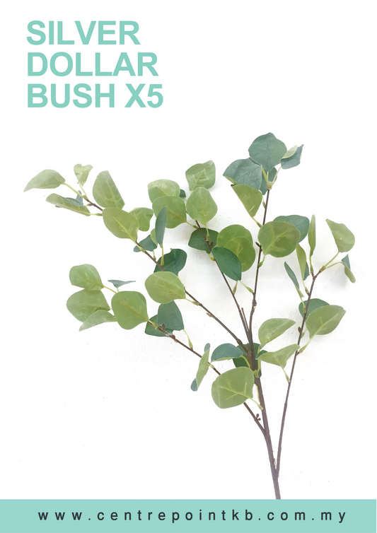 Silver Dollar Bush X5 (Pieces/Dozen)