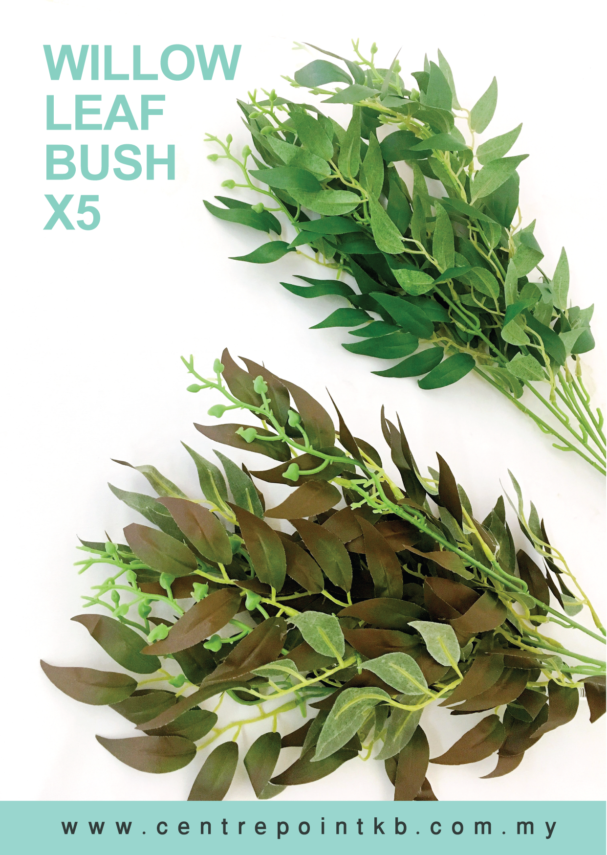 Willow Leaf Bush X5