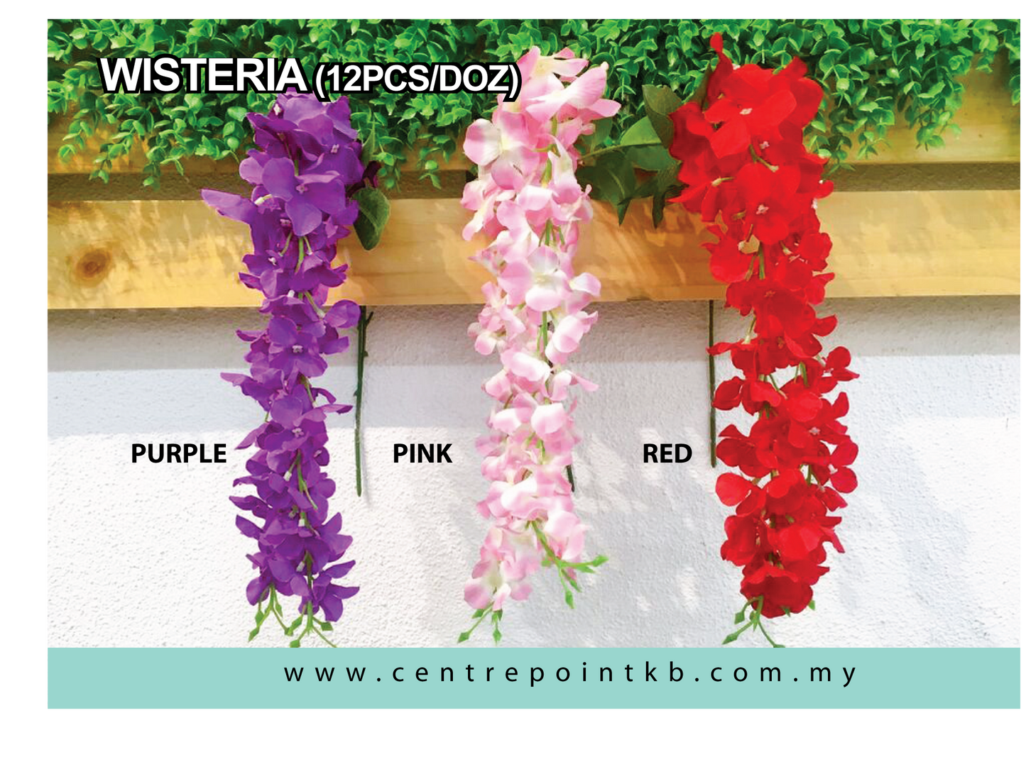 Wisteria (12pcs/Dozen)